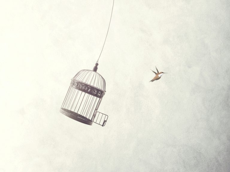 concept minimaliste d'un oiseau qui s'envole d'une cage pour illustrer le référencement