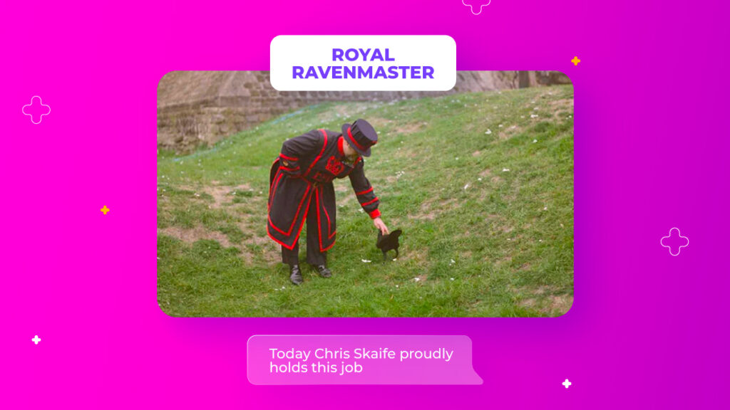 royal ravenmaster