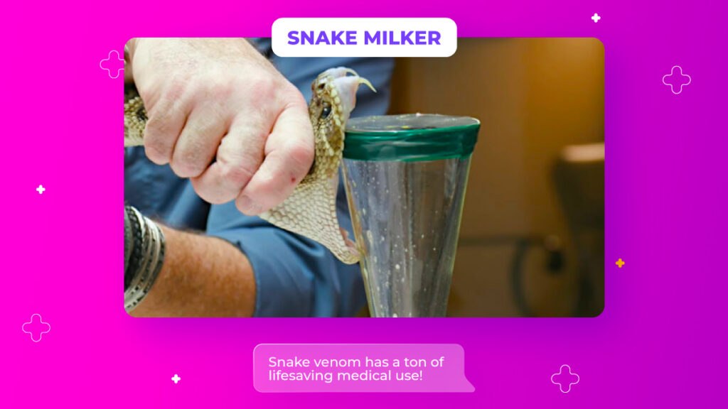 snake milker