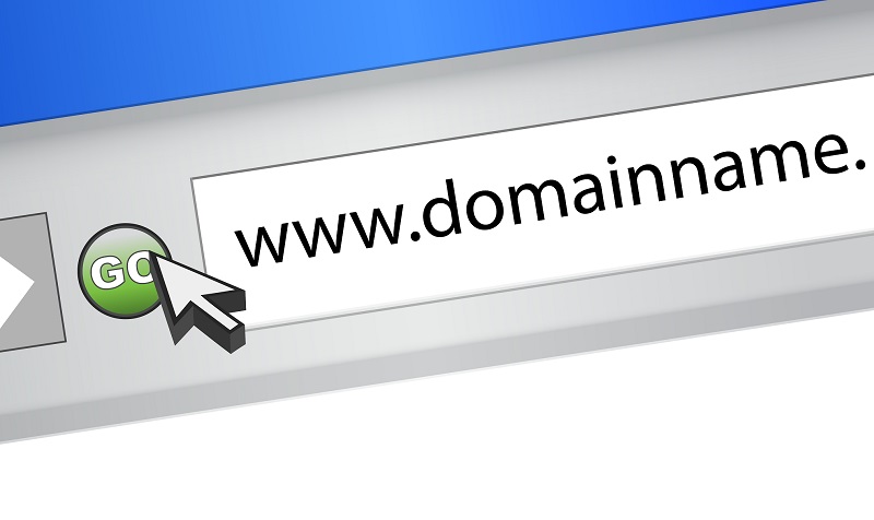 An infographic displaying a Domain Name