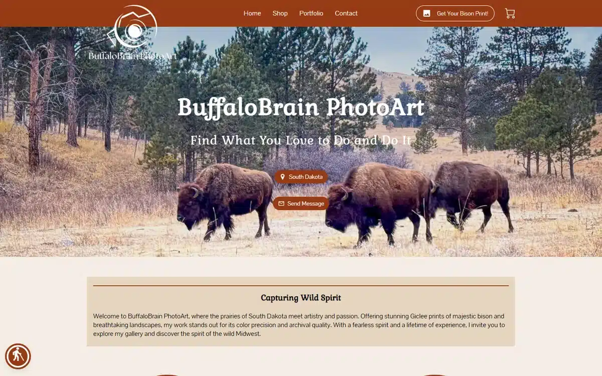 BuffaloBrain PhotoArt fine art photography website homepage