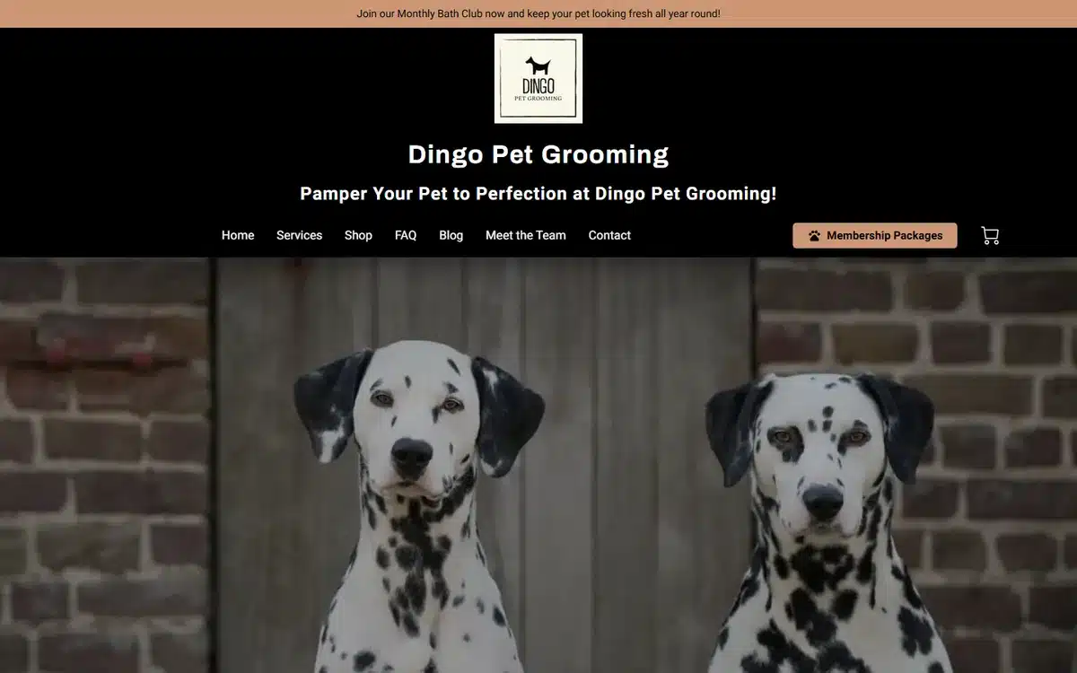 Dingo Pet Grooming small business website design homepage